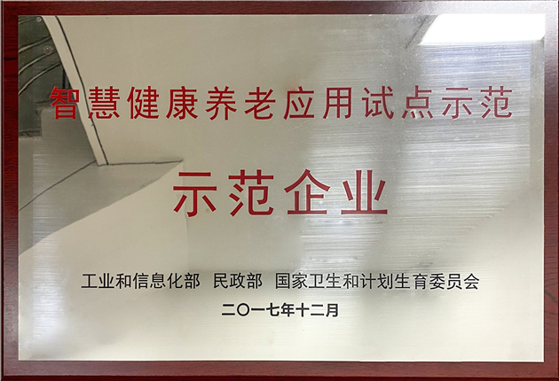 智慧健康養(yǎng)老應用試點示范企業(yè)