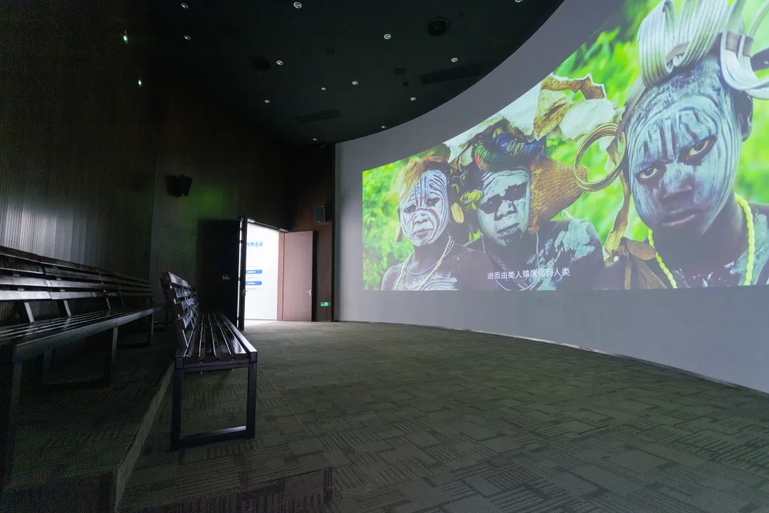 16279582358957922D02.jpg 3.webp.jpg