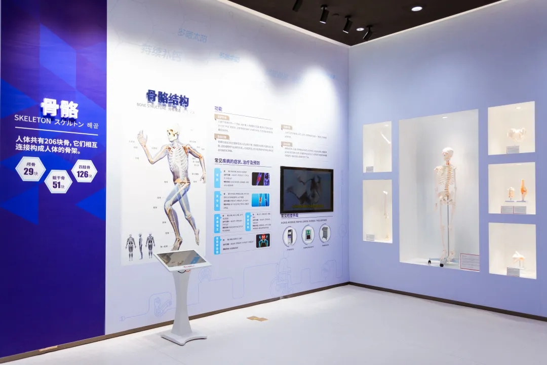 16279583127369625C6C.jpg 5.webp.jpg